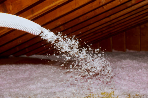 Best Eco-Friendly Insulation in Citrus Hills, FL