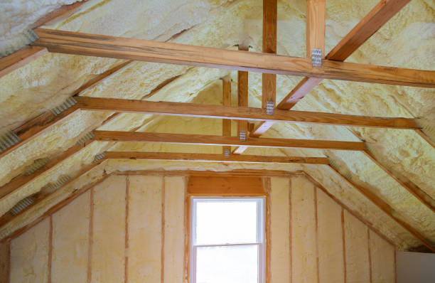 Best Spray Foam Insulation in Citrus Hills, FL