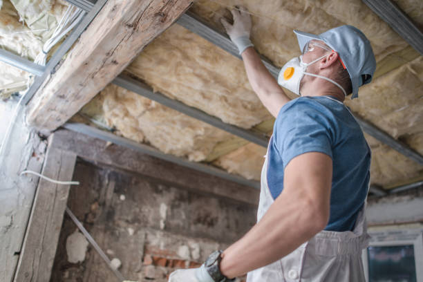 Best Blown-in Insulation in Citrus Hills, FL